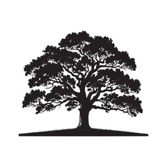 Nature's Majesty: A Powerful Oak Tree Silhouette Reaching for the Sky - Illustration of Oak Tree - Vector of Oak Tree - Silhouette of Oak Tree
