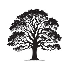 A Beacon of Strength: A Towering Oak Tree Silhouette Providing Shelter and Security - Illustration of Oak Tree - Vector of Oak Tree - Silhouette of Oak Tree
