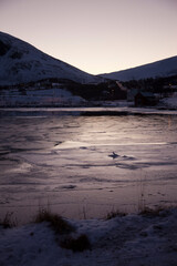 Frozen landscape, with pink hue of winter sun, Sommaroy near Tromso, northern Norway