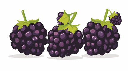 Blackberry exotic fruit flat style vector illustrati