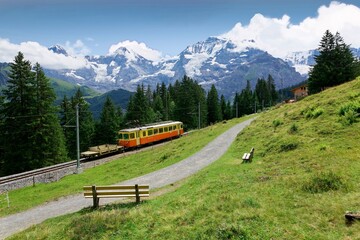 Scenery of a local train traveling on the narrow gauge railway by the green grassy hillside, with...