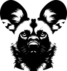  African wild dog © ahsan