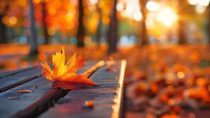 Beautiful fall landscape with colorful foliage in the park, Falling leaves natural background, a single autumn leaf on a bench or a table in nature, blurred background