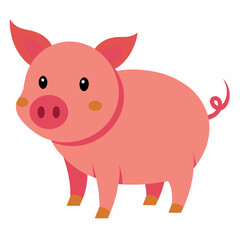 Fototapeta premium Pig, swine, boar, piglet, piggy, animal, pet, vector, illustration, draw, cartoon, pretty, cute