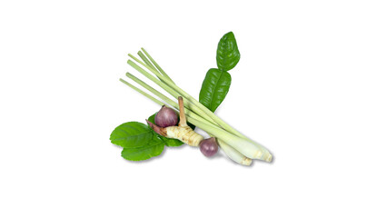 Obraz premium Thai herbs lemongrass, galangal