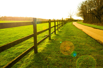 Sun glare seen streaming through a wooden fence adjacent to an arable field. Seen next to an empty...