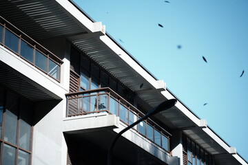 building with sky and fallen leaves