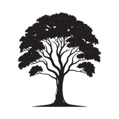 Fototapeta premium A Lone Sycamore Tree Silhouette Bathed in Golden Sunlight - A Timeless Symbol of Enduring Beauty - Illustration of Sycamore Tree - Vector of Sycamore Tree - Silhouette of Sycamore Tree 