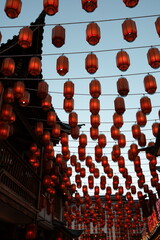 chinese new year lantern