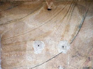 Close-up texture of a wooden surface with natural patterns