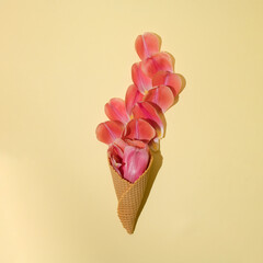 Ice cream cone with pink toulip petals. Summer minimal concept. Flat lay.