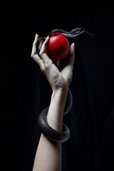 Isolated hand holding up a red apple. Temptation concept. Hand of Eve holding a red fruit and a snake coiled up her arm. Freewill. Fruit of good and evil. Disobedience concept. Isolated background. - obrazy, fototapety, plakaty