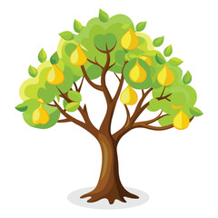  Pear tree Isolated flat vector illustration.