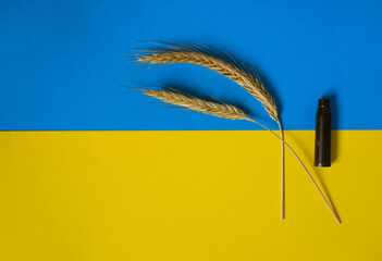 Spikelets. Ukrainian Flag Background. War. Cartridge Case. Copy Space.