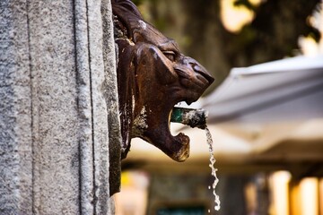 Lion's Roar: Admire the Majestic Beauty and Strength Symbolized by a Lion's Head Fountain,...