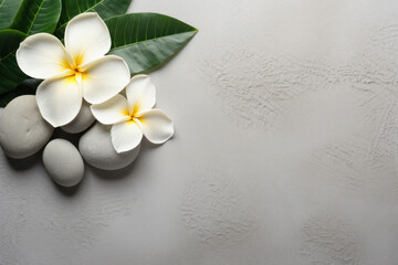Fototapeta na wymiar Tranquil Spa Wellness: Harmony in Nature's Therapy, a Serene Composition of Beauty and Relaxation.