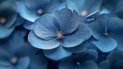 This photo illustration depicts abstract flower petals in a blue hue