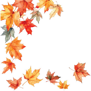 autumn leaves painting watercolour vector illustration for background (2)