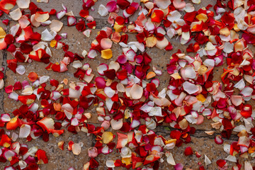Sortie de cérémonie de mariage et tapis de pétales de roses rouges