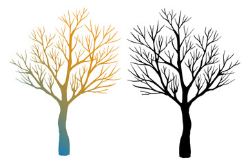 Leafless winter trees. Hand drawn sketch. Line art. Black and white and colorful design elements on white background. Isolated. Tattoo image. - 749504063