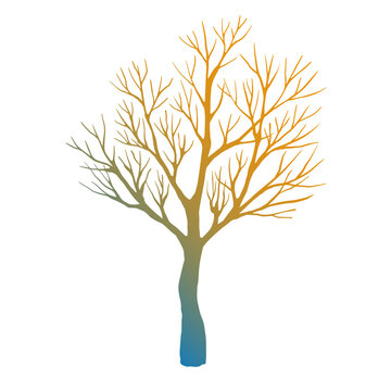 Leafless winter tree. Hand drawn sketch. Line art. Colorful design element on white background. Isolated. Tattoo image.
