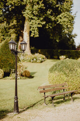 S'asseoir sur un banc dans le parc de verdure