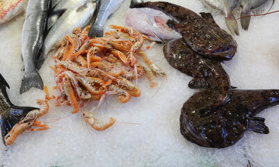 Monkfish fish on the ice of the counter for sale in the fish shop with other types of fish such as...