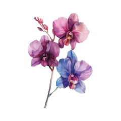 Fototapeta na wymiar cute orchid vector illustration in watercolour style