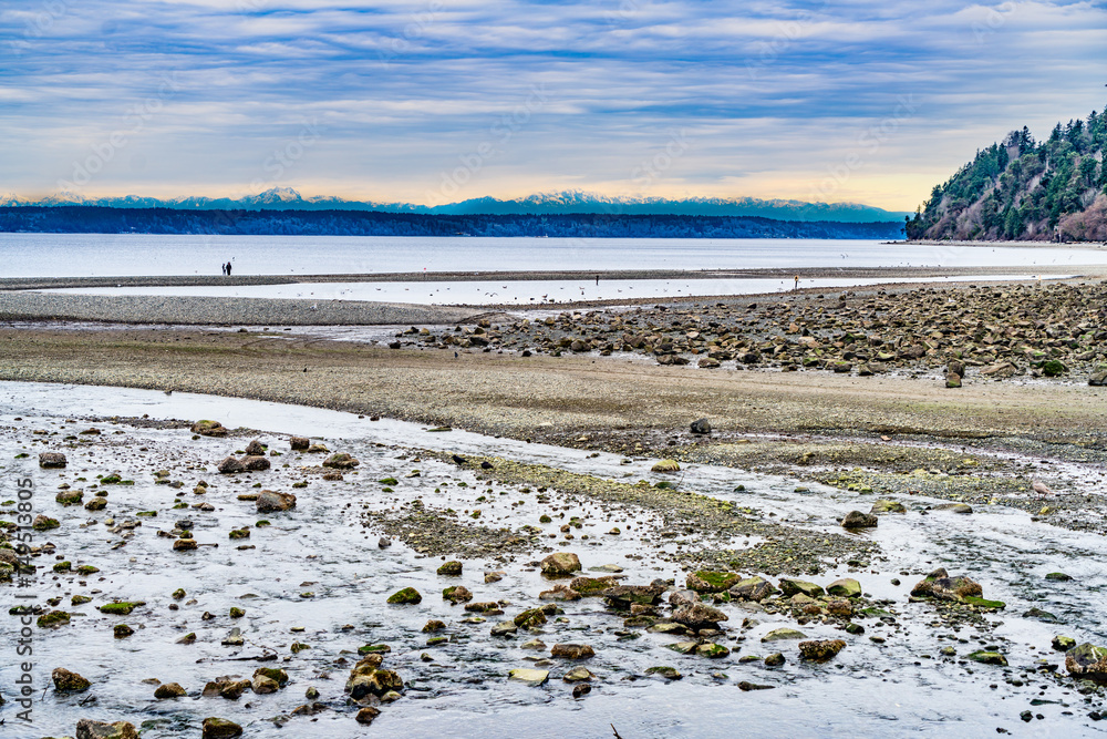 Canvas Prints rocky puget sound shoreline 7