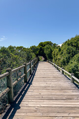 wooden pedestrian bridge with railings, path surrounded by green foliage of trees and bushes. Walkway to the Ocean, South Africa. Summer day, blue sky, nobody