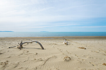 views of the beach inside the Parco dell'Uccellina, Grosseto, Tuscany, Italy