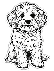 Pedigree Maltipoo dog sticker, an artful celebration of the breed's playful character.