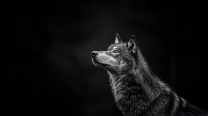 Deurstickers portrait of a wolf © paul