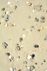 Summer view of small round pebbles on sunny beach, seen from above.