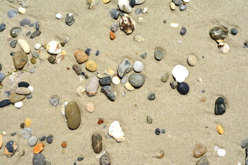 Summer view of small round pebbles on sunny beach, seen from above.