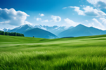 Green grass field with mountain isolated on white background, for montage product display. with clipping path