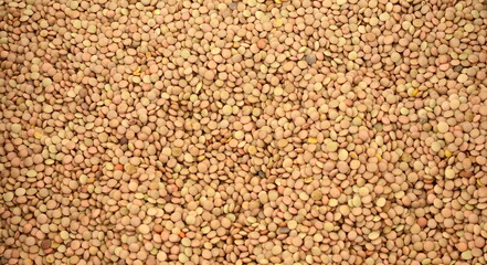 A large mound of lentils is green. Top view, close-up.Dry lentils close up background.