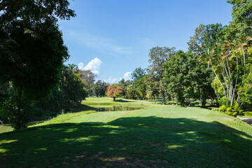 Fototapeta premium Golf course with blue sky background