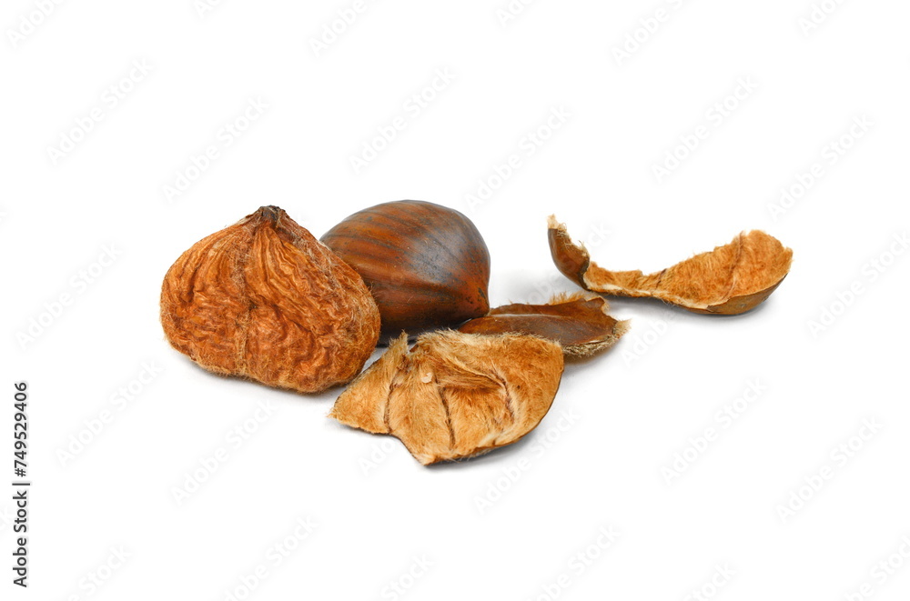 Canvas Prints Fresh chestnuts isolated on white background. Hippocastanum isolated. Chestnut with clipping path. Macro.