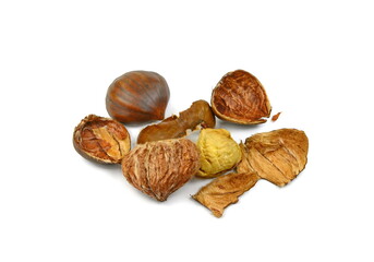 Fresh chestnuts isolated on white background. Hippocastanum isolated. Chestnut with clipping path. Macro.