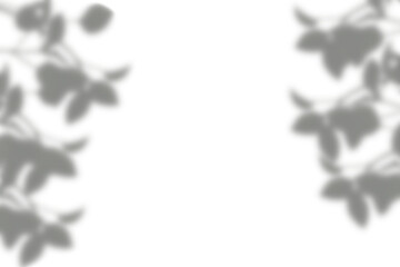 Realistic overlay shadow of plant leaf on transparent background. Dark shadow effect from natural leaves tree branch isolated on white
