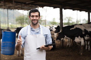agriculture industry, dairy farming, livestock and animal husbandry concept. Dairy farmer male at cowshed on dairy farm. Male livestock veterinarian checking or health