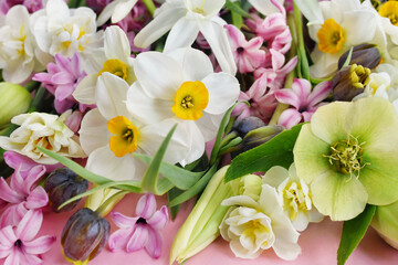Obraz na płótnie Canvas Blossoming white and light yellow daffodils, pink hyacinths and spring flowers festive background, bright springtime bouquet floral card, selective focus, shallow DOF