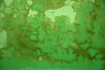 Wet stains with traces of mold on green plaster. Texture.