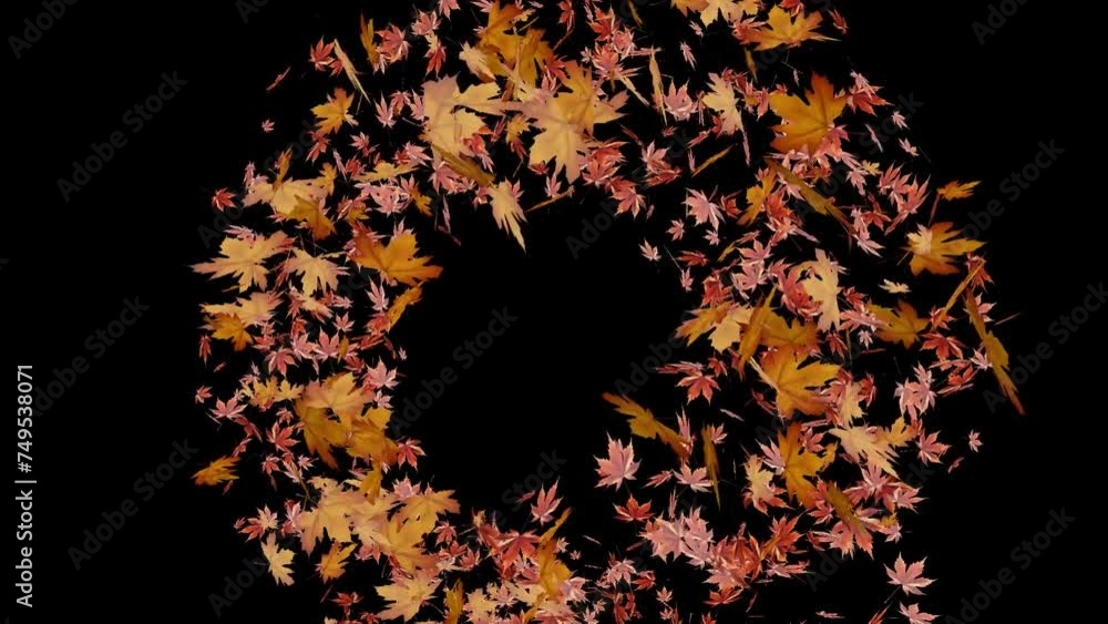 Wall mural falling maple leaves particle overlay transition animation with transparent background
