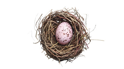 Naklejka na ściany i meble Birds Nest With Pink Egg