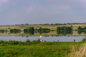 landscape with a lake in the country