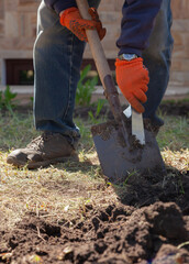 Hands in work gloves clean shovel from ground..