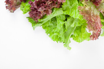 Summer lettuce salad isolated on white background....