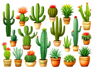 Cactus dessert colorful vibrant sketch hand drawn vector  image 